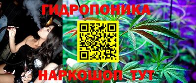 стафф Донецк