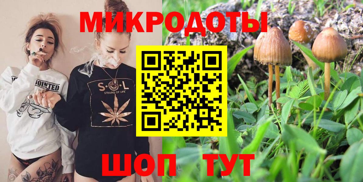 Галлюциногенные грибы мицелий Надым